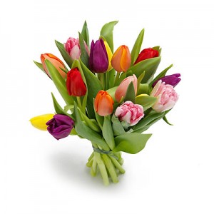 Tulipany – jedne z chętniej kupowanych kwiatów w kwiaciarniach