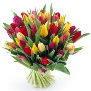 Tulipany – kwiaty, których w kwiaciarni nie może zabraknąć